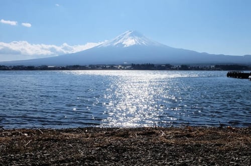 Sponsor Pipeline Insights: The Most Active Drug Companies in Japan