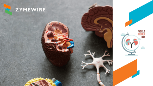 World Kidney Day 2023: Emerging Biopharma on the Hunt for a Cure
