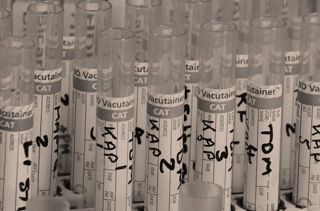 Vacutainer collection tubes used for medical research