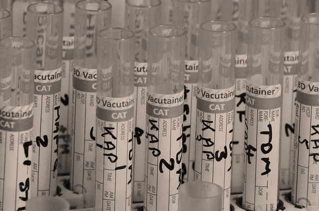 Vacutainer collection tubes used for medical research